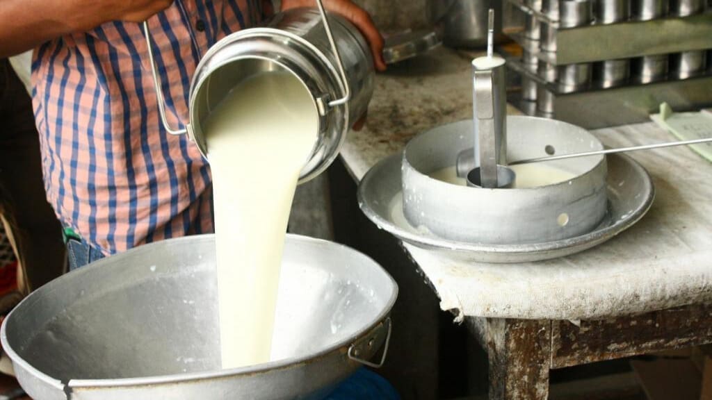 Thumbnail for Heifer International, Ministry of Energy introduce solar energy solutions to dairy sector