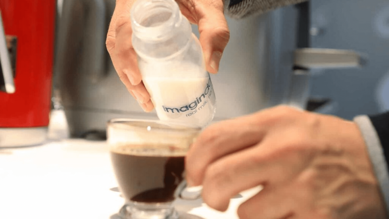 Thumbnail for Imagindairy secures approval to market animal-free milk proteins in Israel