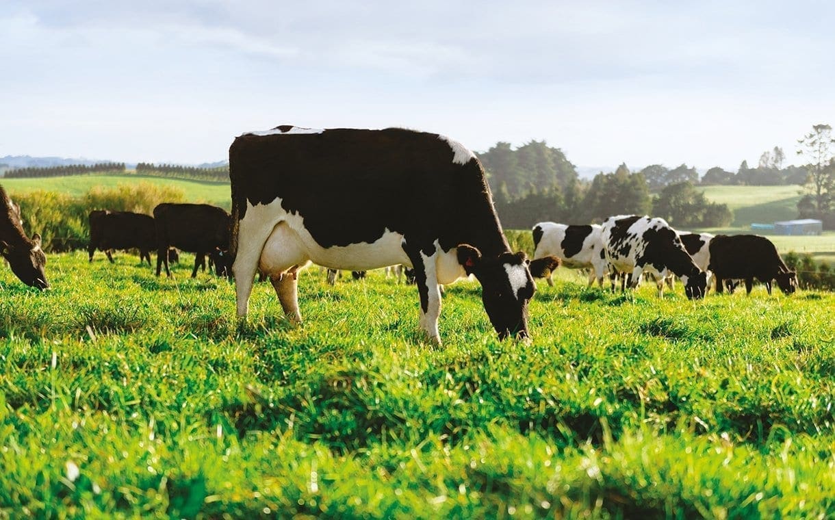 Thumbnail for Tetra Pak recognised with ‘A’ score for transparency on climate change