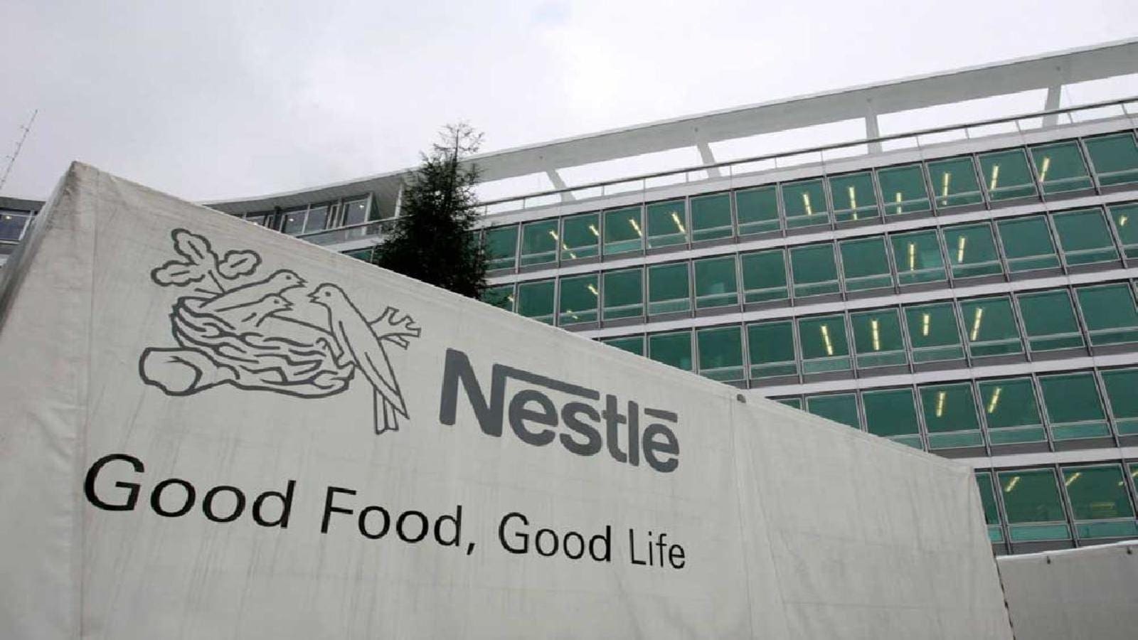Thumbnail for Nestle expands initiatives to reduce milk and dairy ingredient’s environmental footprint