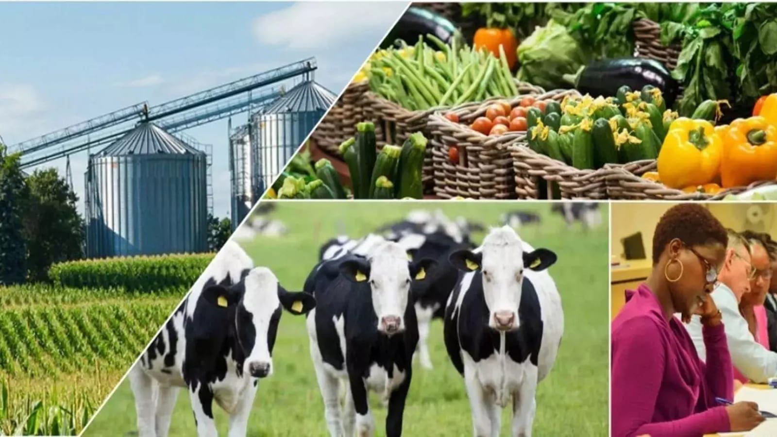 Thumbnail for Rwanda launches US$23M Agri-Livestock insurance scheme to bolster farmer resiliency against disasters