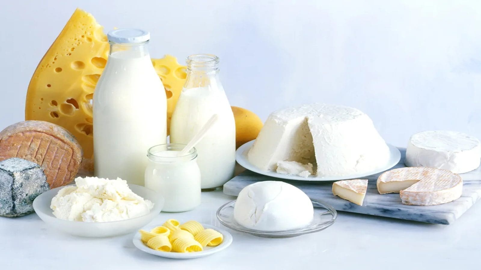 Thumbnail for Brookside seeks Uganda government’s intervention in securing milk export permits from Kenya